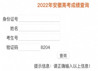 2022安徽查分入口