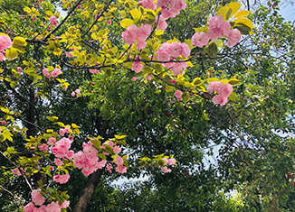 鸡西有哪些大学