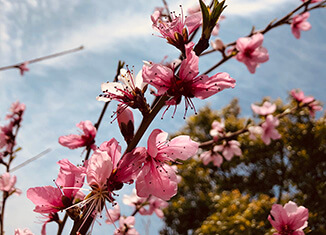 鹤岗有哪些大学
