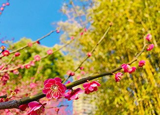 2018北京艺术类(高职专科)高考分数线